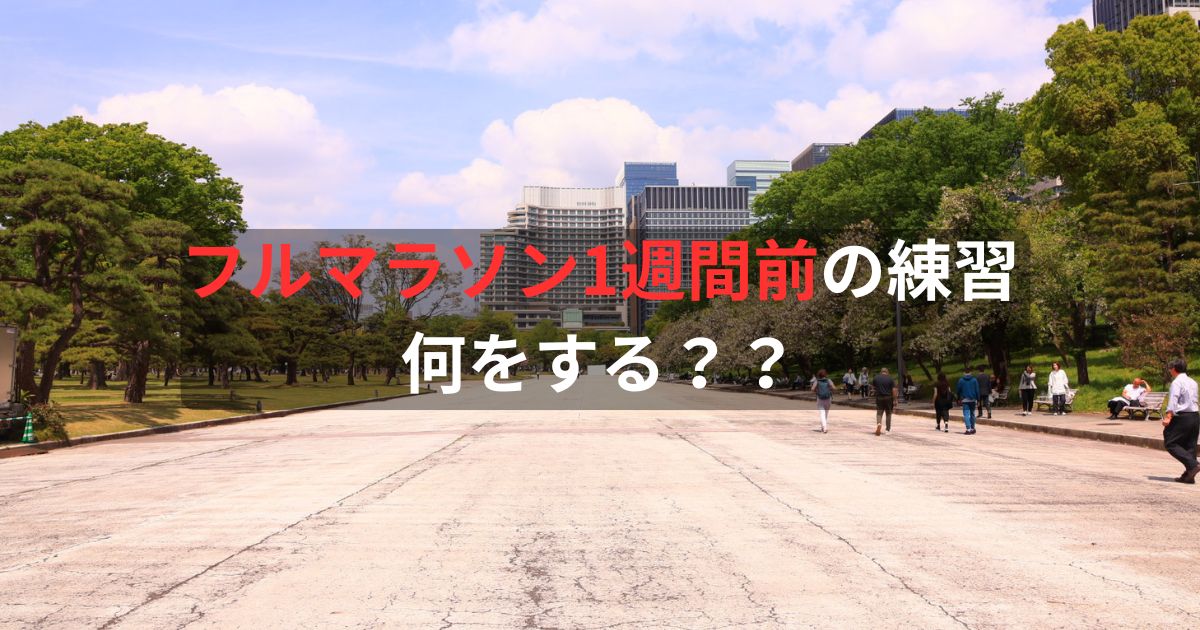 皇居のいつもの練習場所