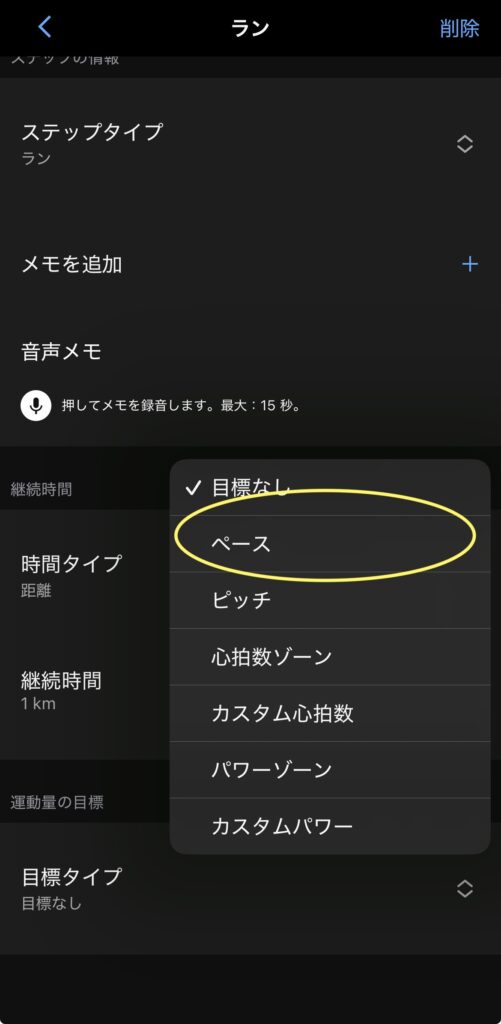 Garmin設定画面