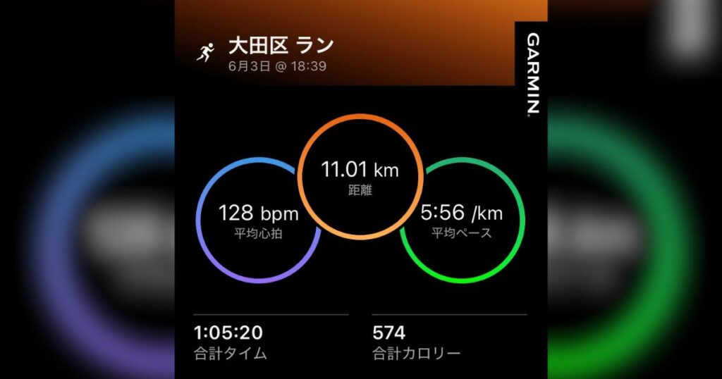 Garminデータ