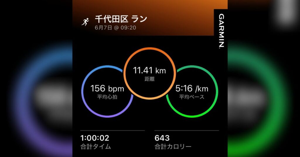 Garminデータ